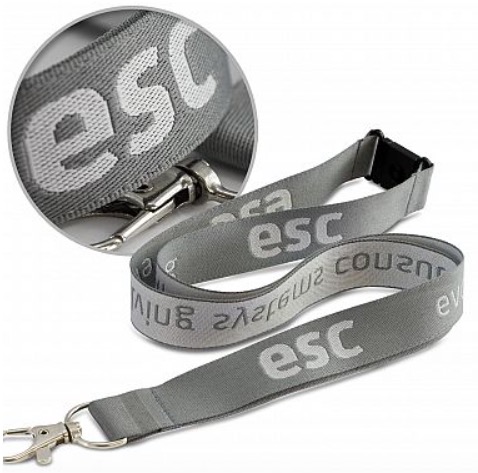 Colour Max Lanyard