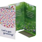 Seedstick 10’S Greeting Card