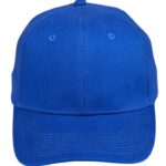 Heavy Brushed Cotton Structured Cap