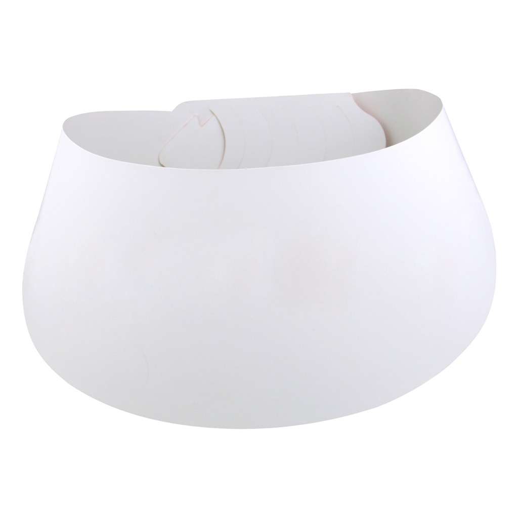Sun Visors