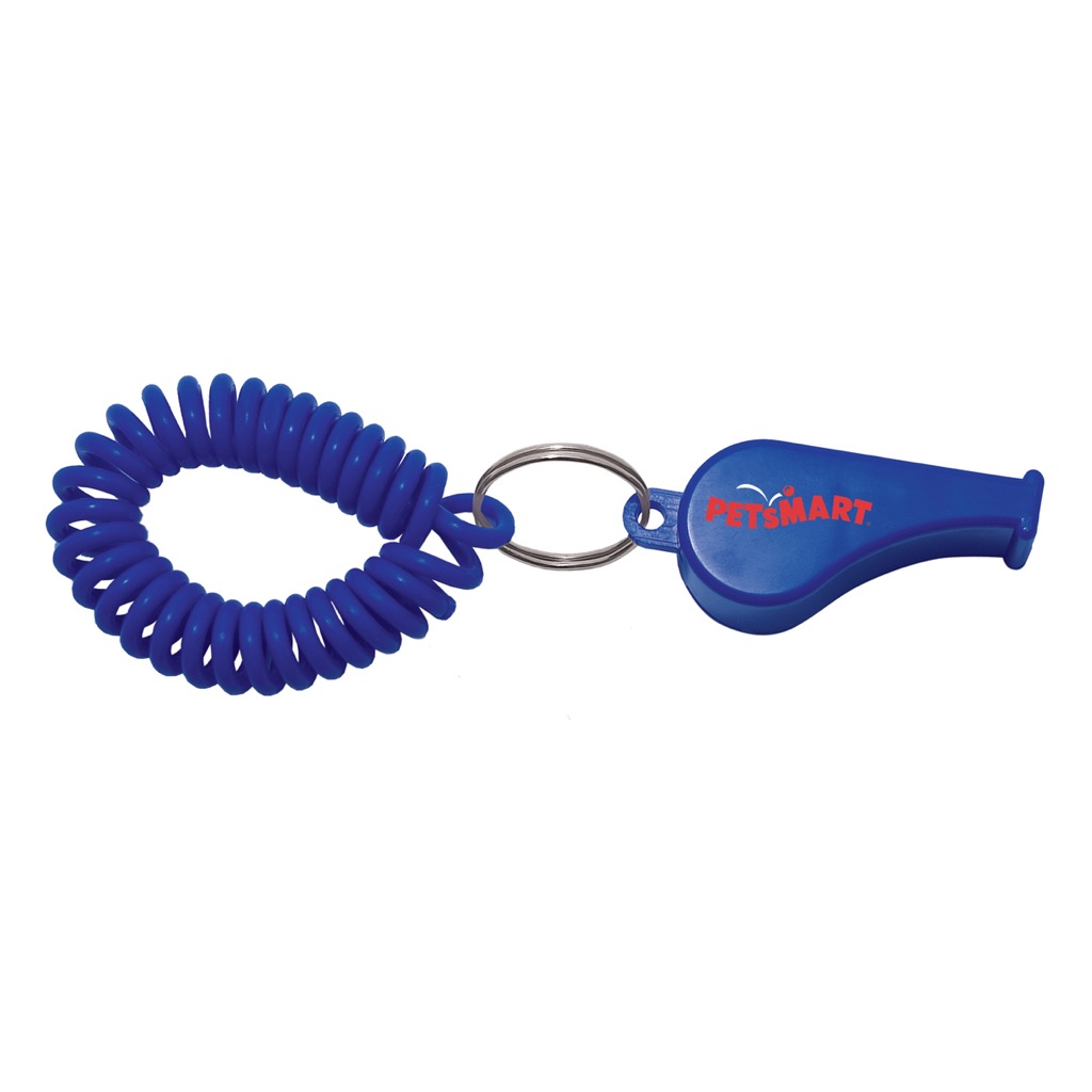 Whistle Coil Key Chain