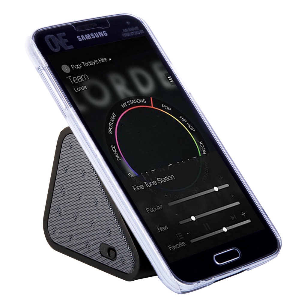 Roxy Wedge Wireless Speaker
