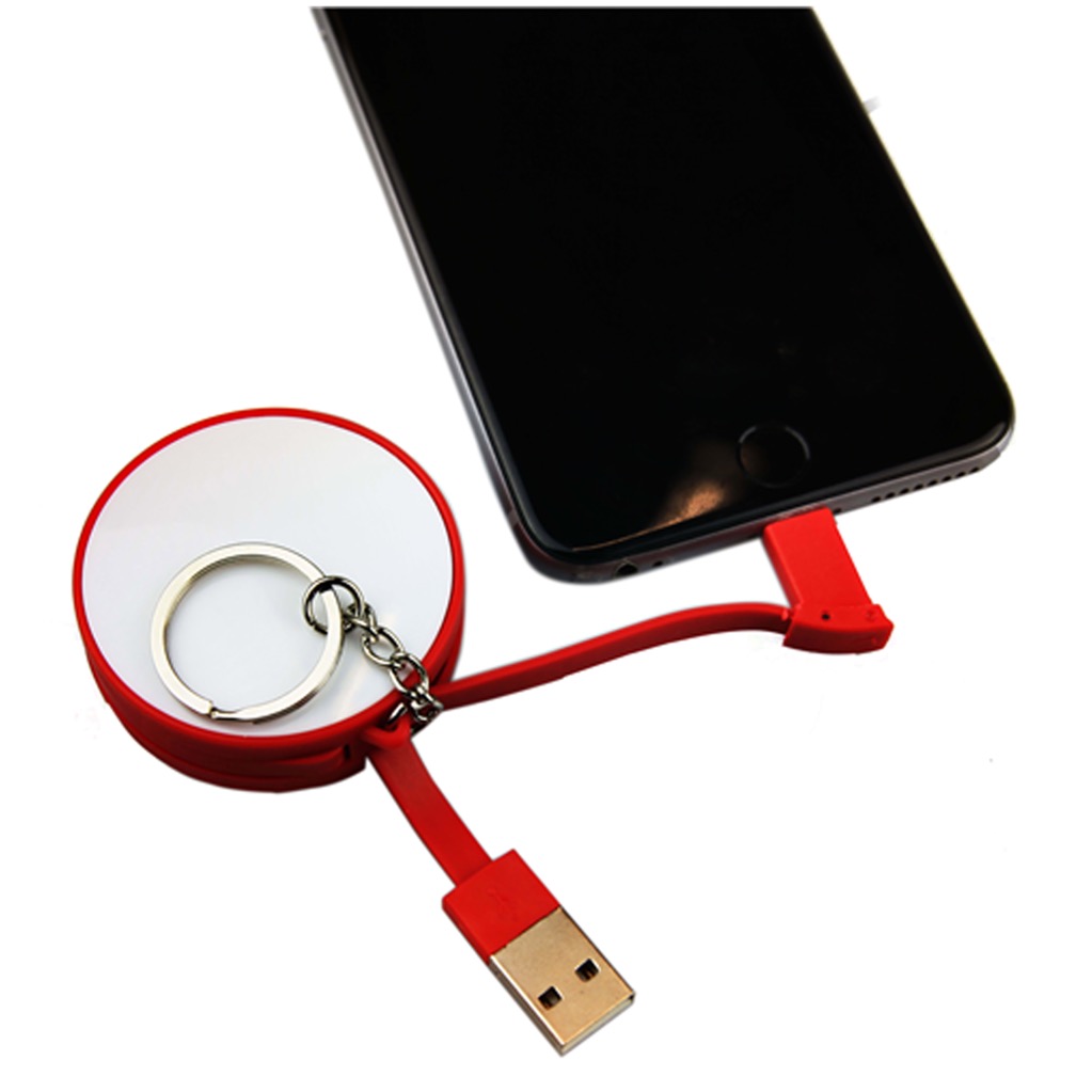 Charging Cable Key Ring