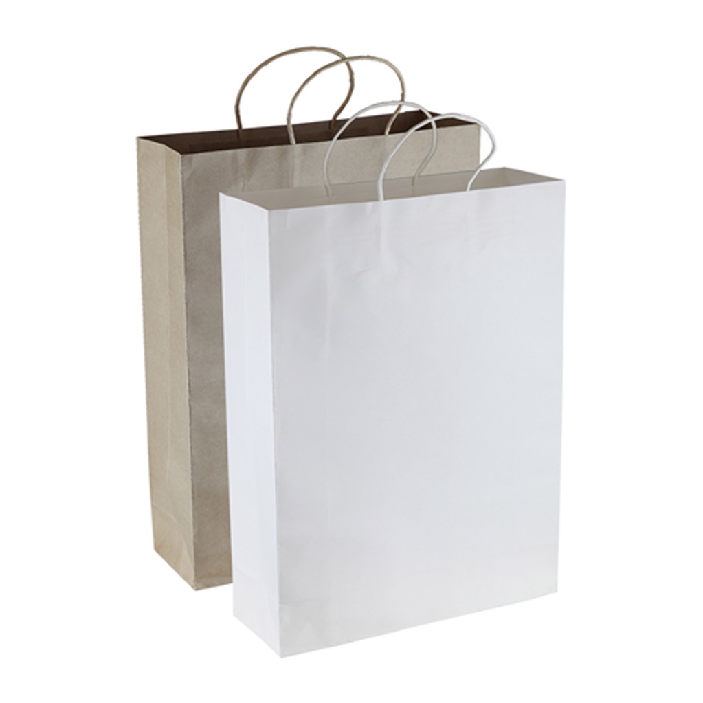 Paper Kraft Shopping Bag
