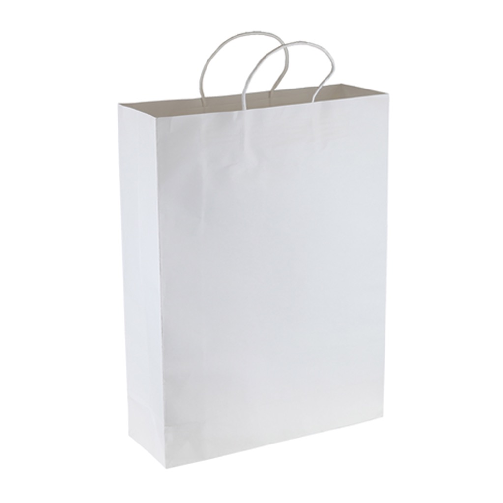 Paper Kraft Shopping Bag