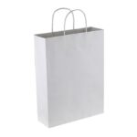 Paper Trade Show Bag