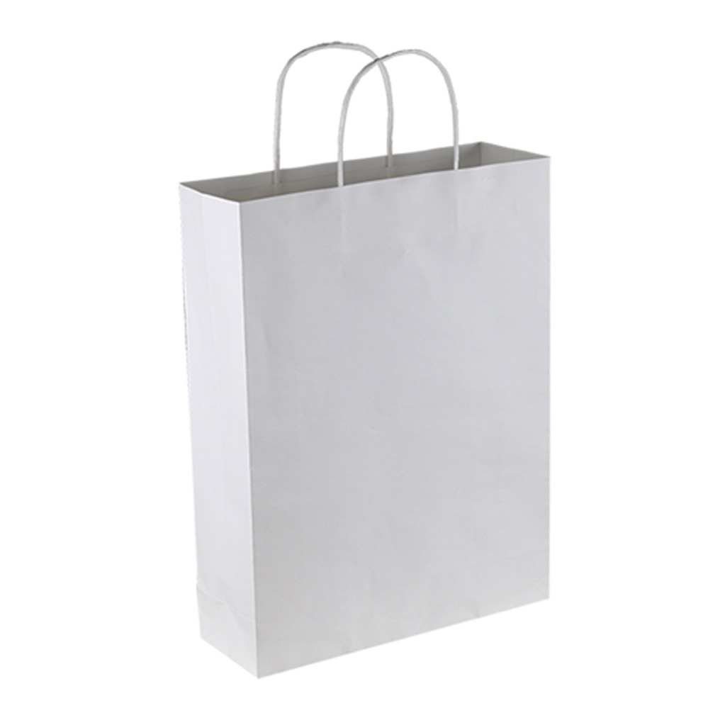 Paper Trade Show Bag