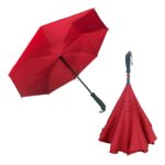 The Sky Inverted Umbrella