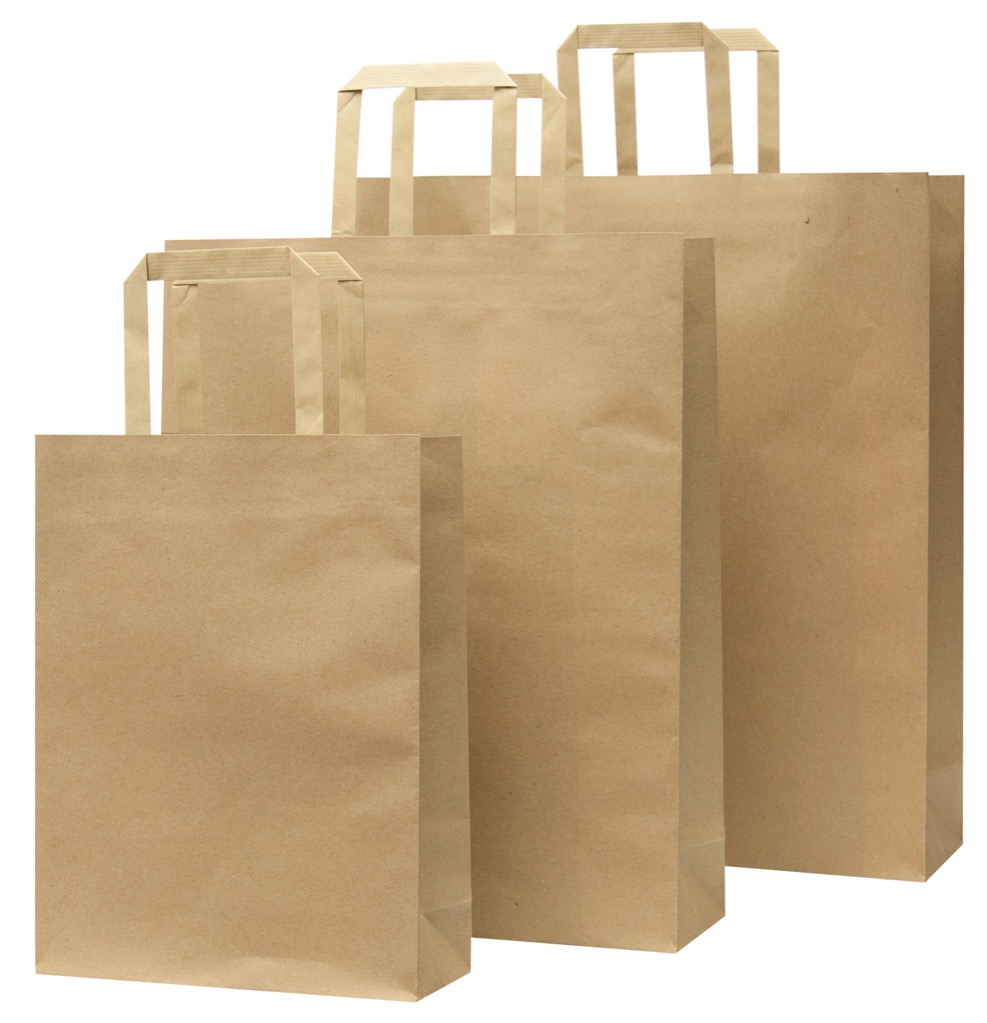 Paper Bag – Medium