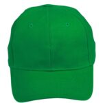 Heavy Brushed Cotton Structured Cap