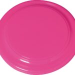 Fluro Frisbee