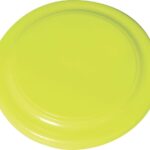 Fluro Frisbee
