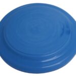 Recycled Frisbee