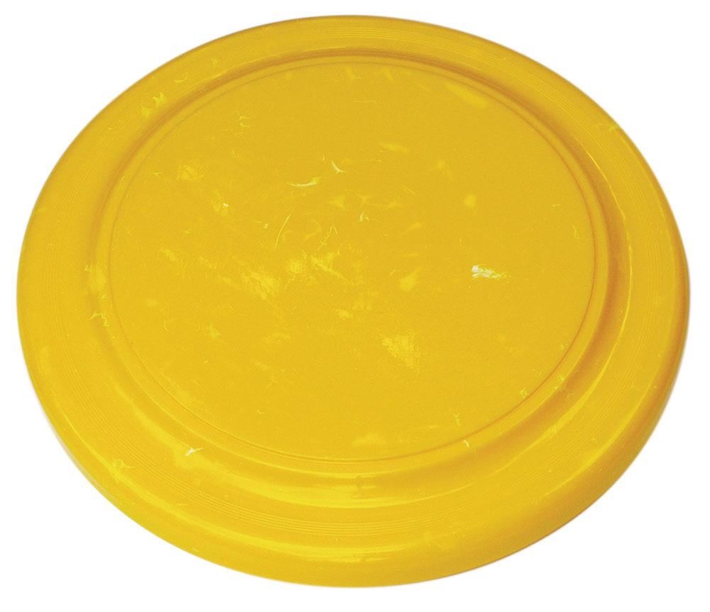 Recycled Frisbee