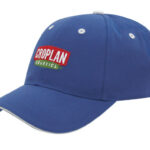 PET/Cotton Sandwich Cap