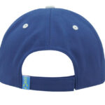 PET/Cotton Sandwich Cap