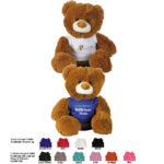 Coco (brown) & Coconut (white) Plush Teddy Bear