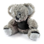 Korporate Koala with T-shirt