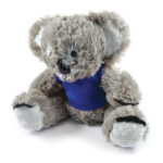 Korporate Koala with T-shirt