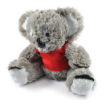 Korporate Koala with T-shirt