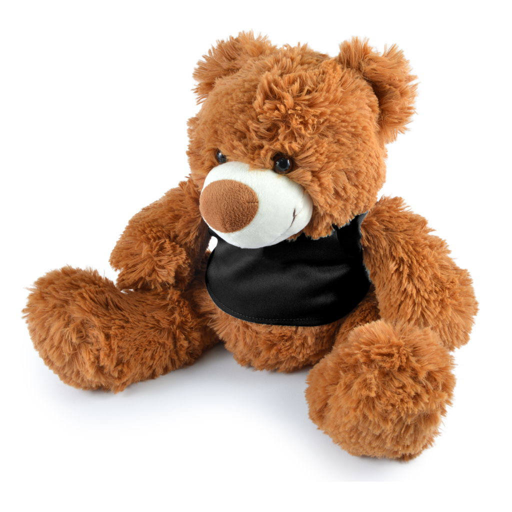 Coco (brown) & Coconut (white) Plush Teddy Bear
